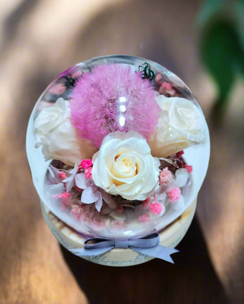 Dandelion Fleur Flower Dome