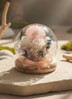 Dandelion Fleur Flower Dome