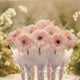 Bundle of 8 Single Gerbera