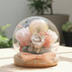 Dandelion Fleur Flower Dome